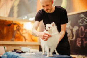 8e42ea535a354e9cb14c4be60c76a7be200d7b29